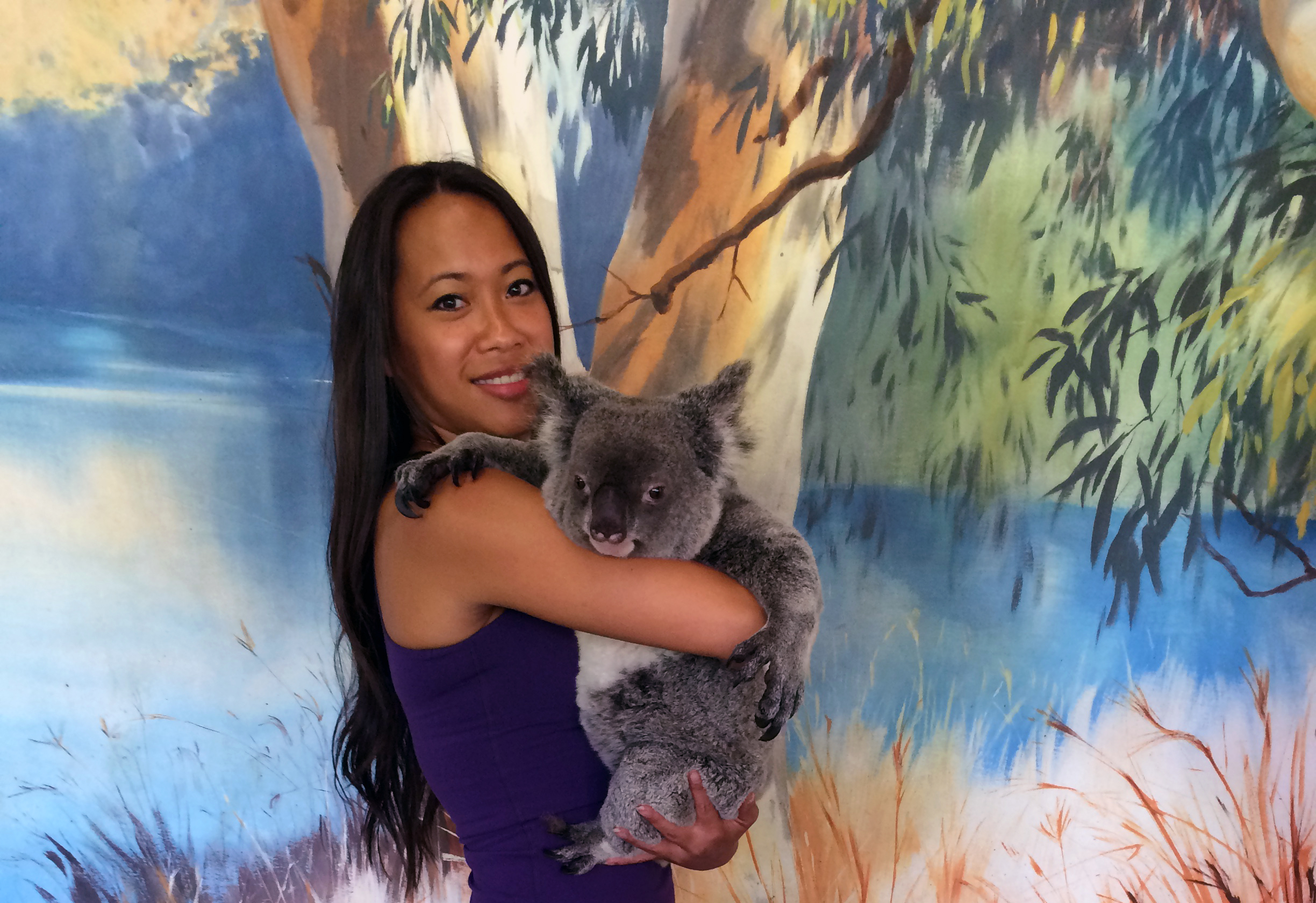 With Tilly the Koala in the Kuranda Rainforest