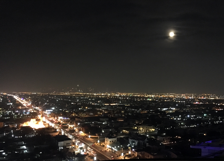 The View over Dubai