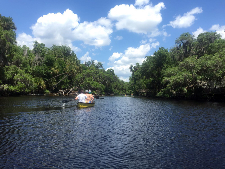 Canoeing down the St. Johns River 