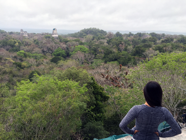 Admiring the view over Tikal 