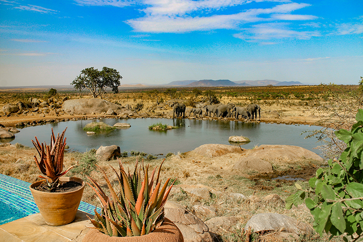 Four Seasons Serengeti, Serengeti National Park, East Africa, Infinity Pool, Tanzania, FSSafari, MyFSSafari, watering hole