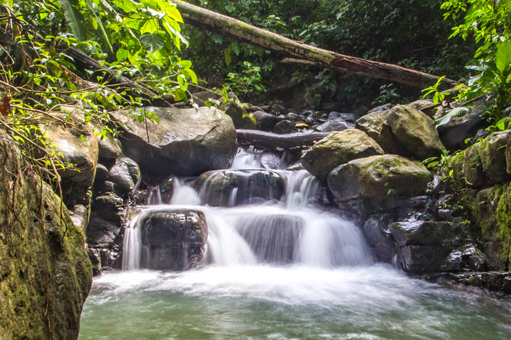 Paradise at Oxygen Jungle Villas