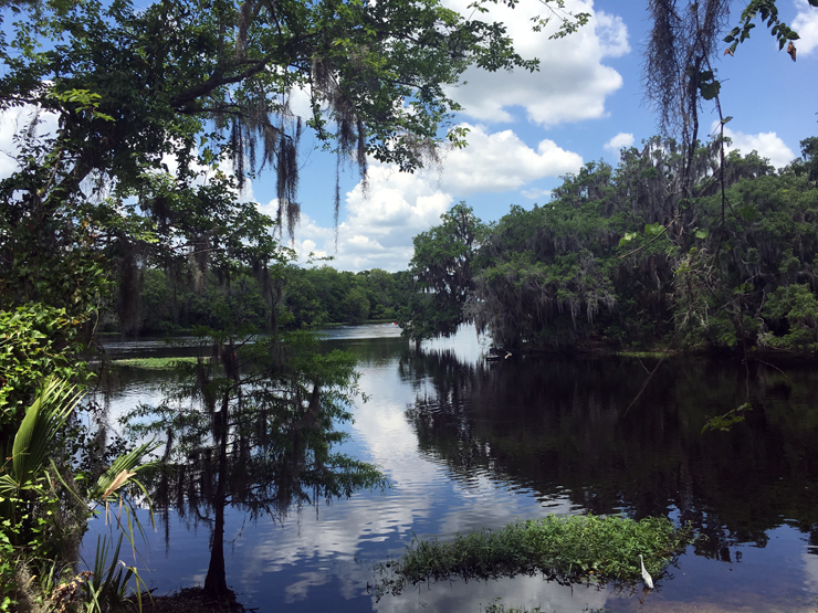 Alternative Orlando - Blue Spring State Park