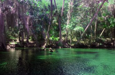 Alternative Orlando - Blue Spring State Park