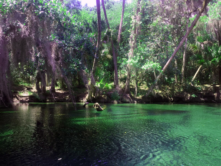 Alternative Orlando - Blue Spring State Park