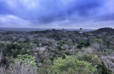 Tikal from Temple IV at Sunrise