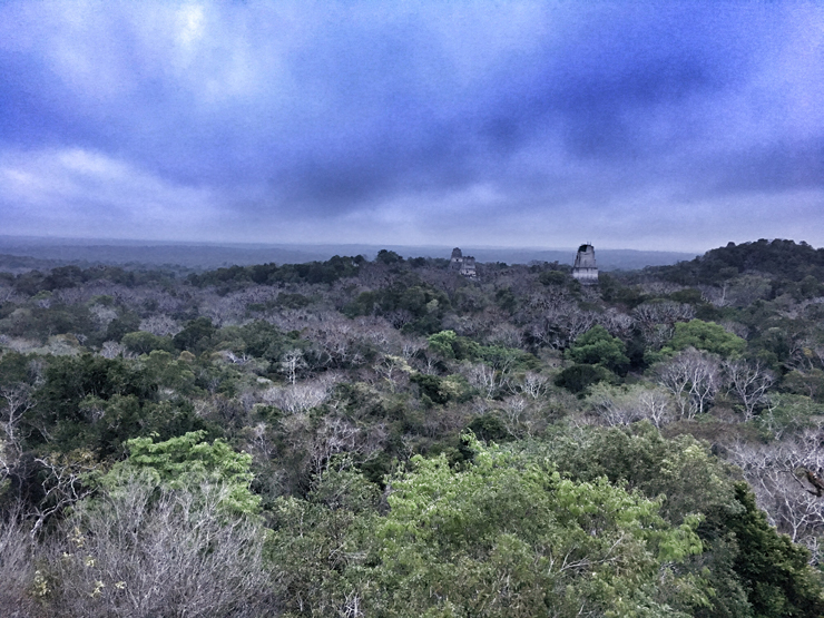 Tikal from Temple IV at Sunrise