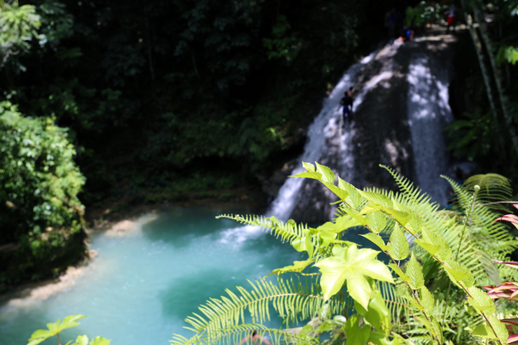 Things to do, in Jamaica Ocho Rios, Island Gully Falls