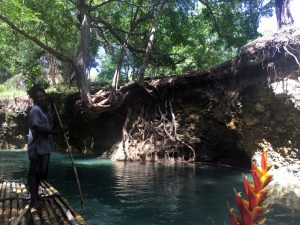 Things to do in Jamaica Ocho Rios Rafting