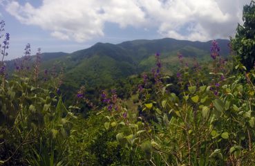 Blue Mountain, Bicycle Tour, Jamaica