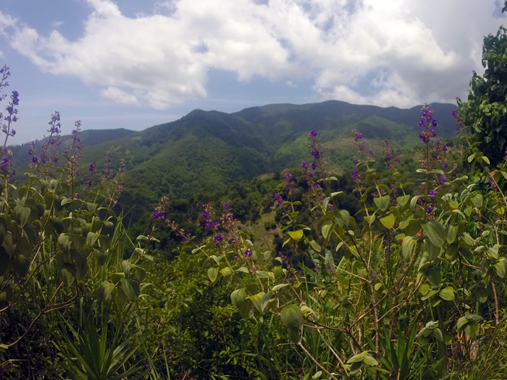 Blue Mountain, Bicycle Tour, Jamaica