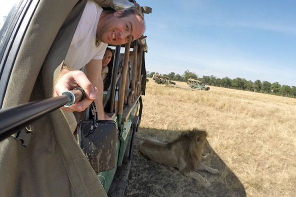 Lion selfie