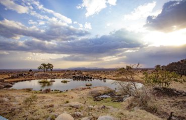 Four Seasons Serengeti, Serengeti National Park, East Africa, Infinity Pool, Tanzania, FSSafari, MyFSSafari, watering hole