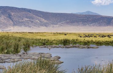 Ngorongoro Crater, Serengeti, Tanzania,