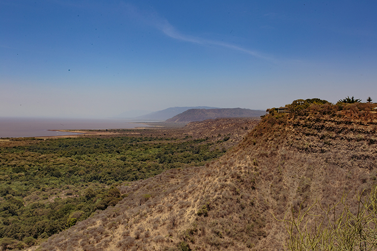 Lake Manyara, Africa, Ngorongoro Crater, Serengeti, Tanzania