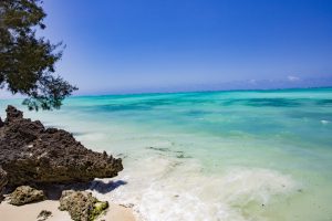 Tulia Zanzibar, Pongwe Beach, Zanzibar, beach, pool, Tanzania, gardens