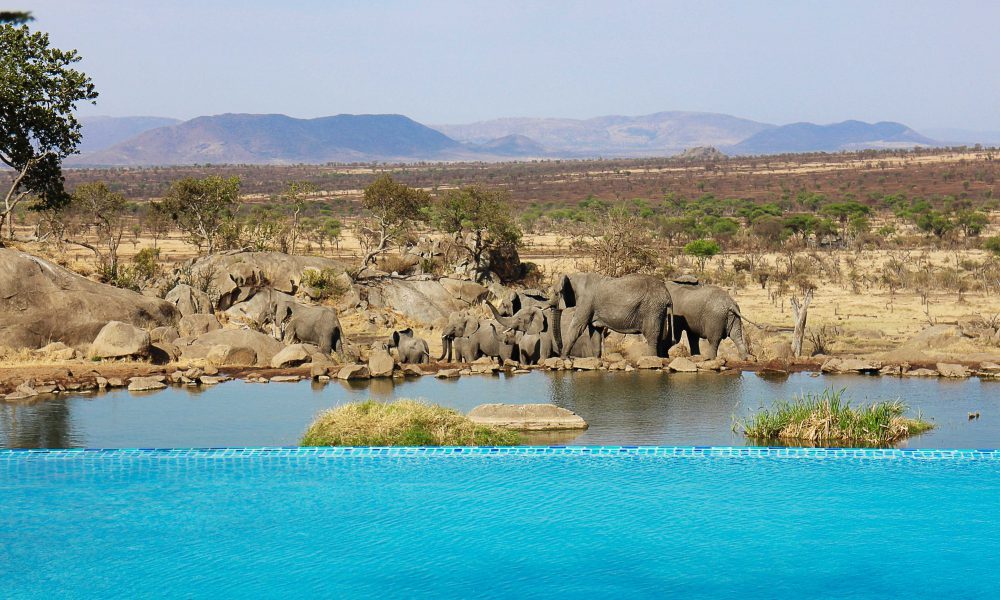 Four Seasons Serengeti Safari, honeymoon