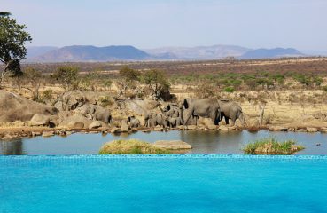 Four Seasons Serengeti Safari, honeymoon