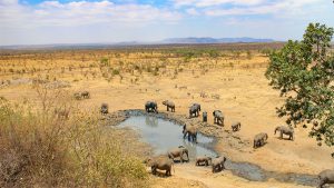 Four Seasons Serengeti Safari, honeymoon