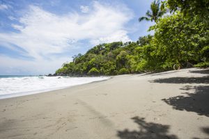 Arenas Del Mar, Manuel Antonio National Park, Manuel Antonio, beachfront, rainforest resort, carbon neutral hotel, sustainable travel, cayuga collection, Costa Rica, luxury hotel