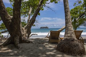 Arenas Del Mar, Manuel Antonio National Park, Manuel Antonio, beachfront, rainforest resort, carbon neutral hotel, sustainable travel, cayuga collection, Costa Rica, luxury hotel