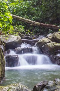 Paradise at Oxygen Jungle Villas