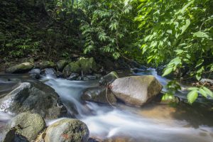 Paradise at Oxygen Jungle Villas