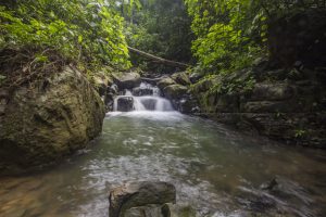 Paradise at Oxygen Jungle Villas