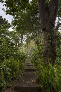 Finca Rosa Blanca