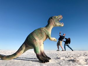 Stargazing on the Salar de Uyuni